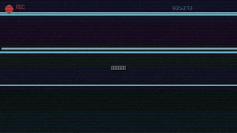 周末随拍记录 - 野花视频在线观看免费播放高清3 原创视频